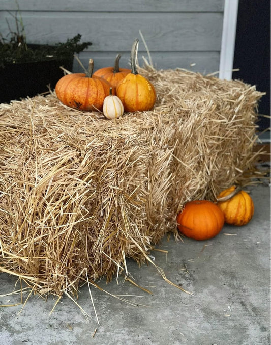 Straw/Hay Bale
