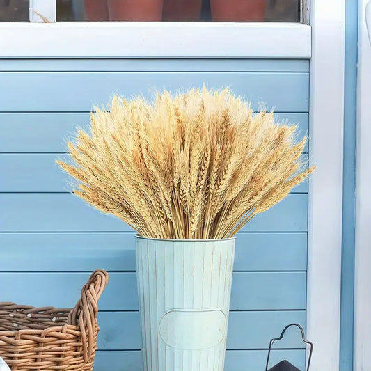 Wheat Sheaves In Metal Bucket
