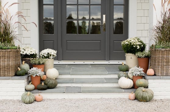 Intro Pumpkin Package