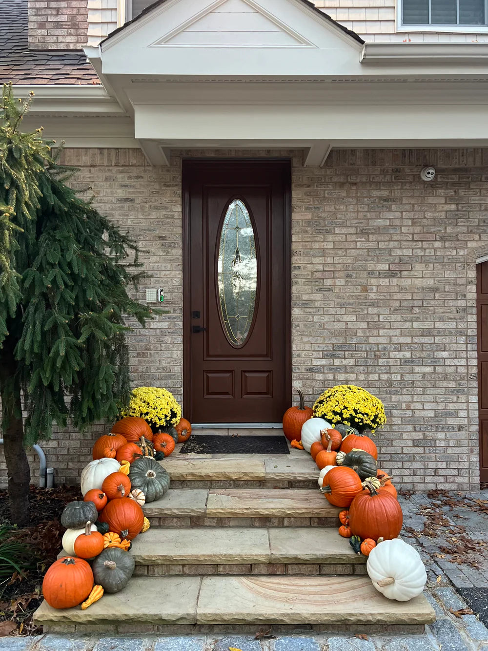 Basic Pumpkin Package