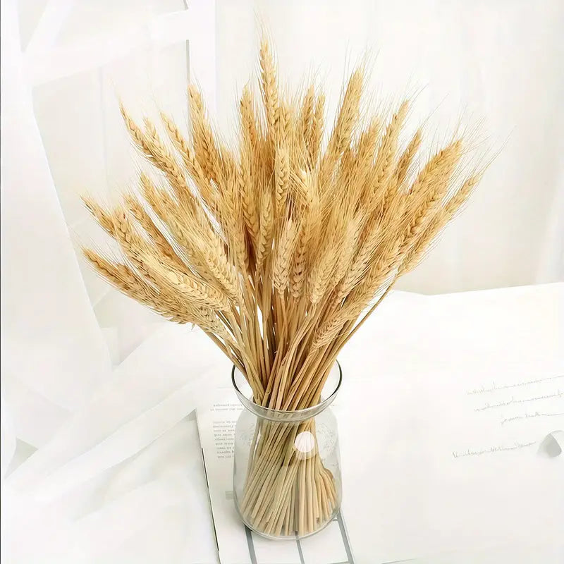 Wheat Sheaves In Metal Bucket