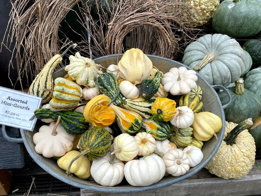 Gourds 12 pieces