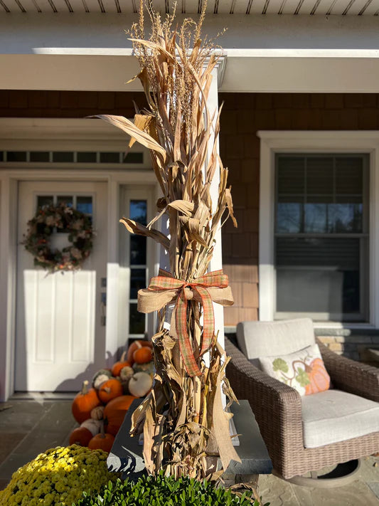 Corn Stalk