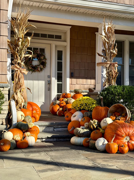 Elite Pumpkin Package