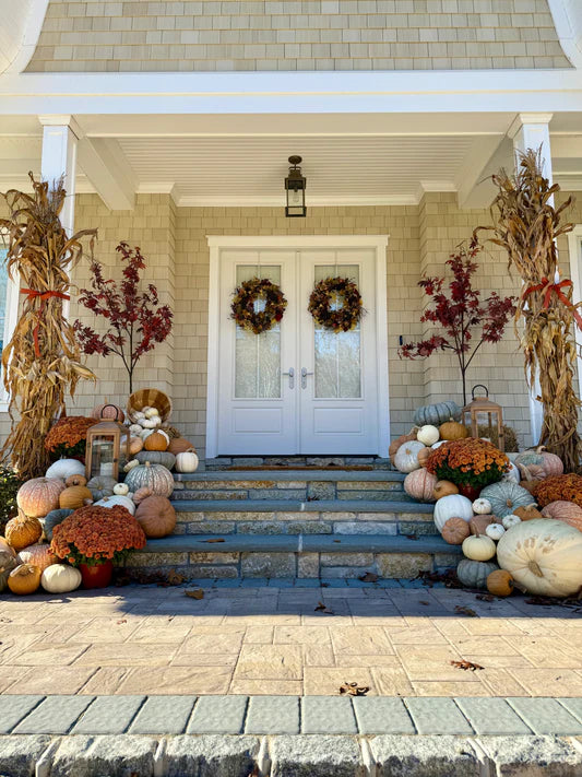 Premium Pumpkin Package