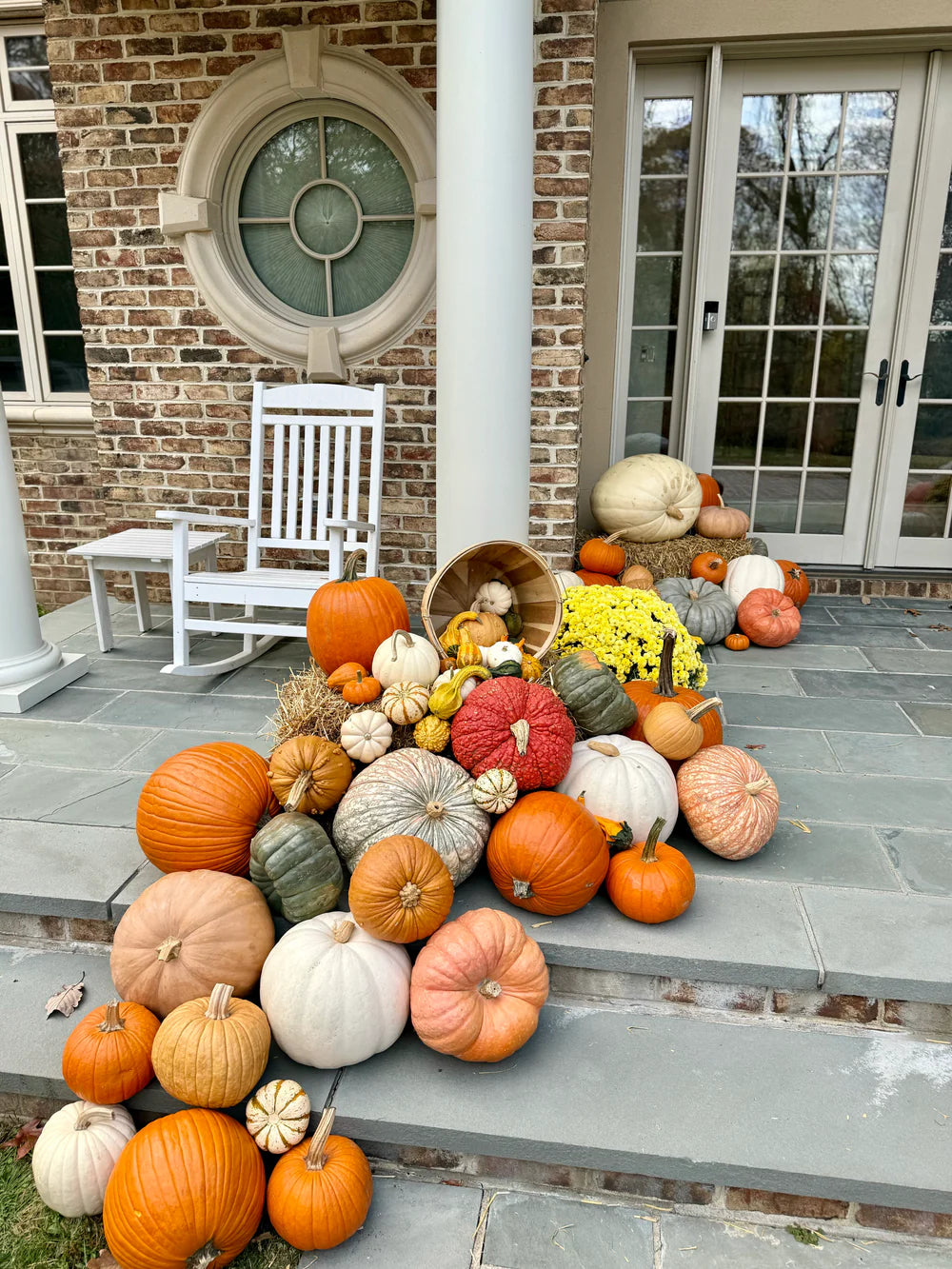 Pumpkin Patch