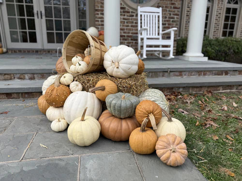 Deluxe Pumpkin Package