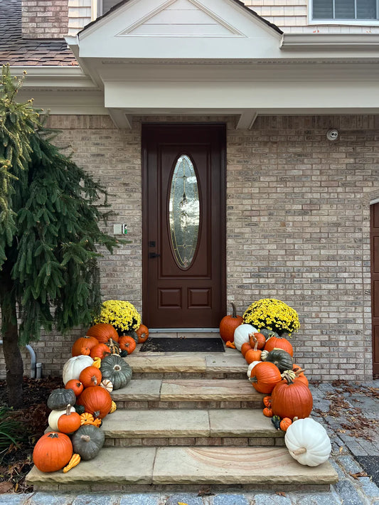 Basic Pumpkin Package